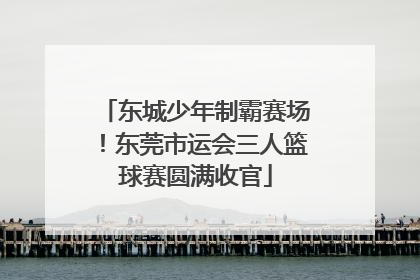 东城少年制霸赛场！东莞市运会三人篮球赛圆满收官