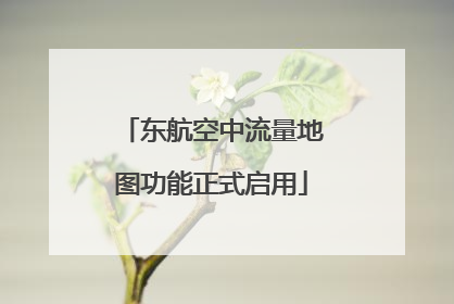 东航空中流量地图功能正式启用