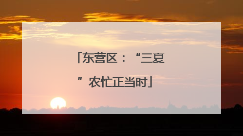 东营区：“三夏”农忙正当时
