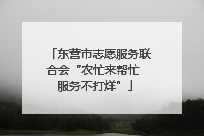 东营市志愿服务联合会“农忙来帮忙 服务不打烊”