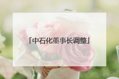 中石化董事长调整