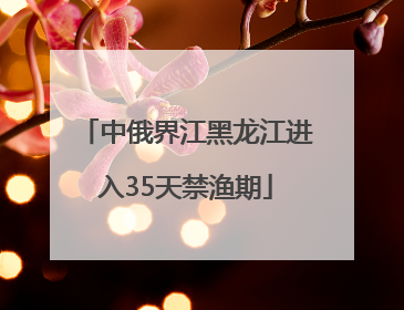 中俄界江黑龙江进入35天禁渔期