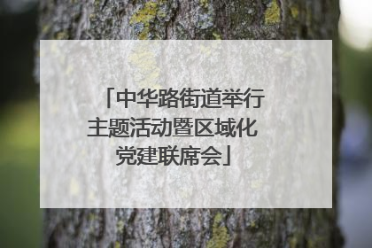 中华路街道举行主题活动暨区域化党建联席会
