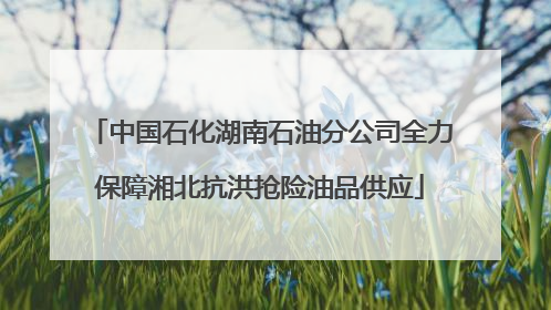 中国石化湖南石油分公司全力保障湘北抗洪抢险油品供应