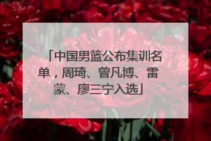 中国男篮公布集训名单，周琦、曾凡博、雷蒙、廖三宁入选