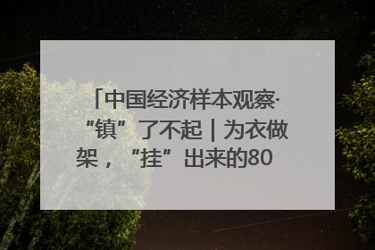 中国经济样本观察·“镇”了不起｜为衣做架，“挂”出来的80亿元“衣架产业”
