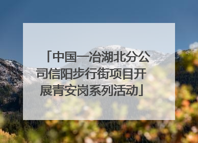 中国一冶湖北分公司信阳步行街项目开展青安岗系列活动