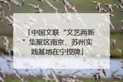 中国文联“文艺两新”集聚区南京、苏州实践基地在宁授牌