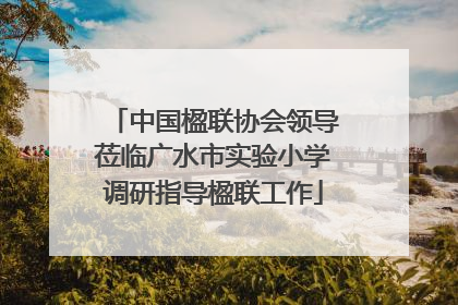 中国楹联协会领导莅临广水市实验小学调研指导楹联工作