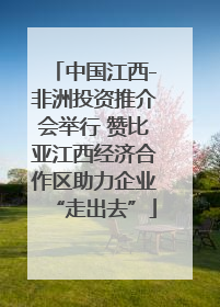 中国江西-非洲投资推介会举行 赞比亚江西经济合作区助力企业“走出去”