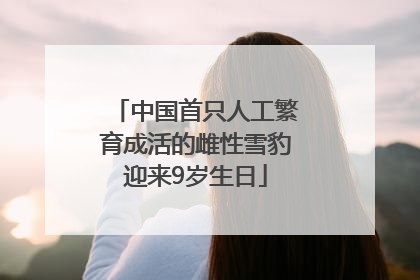 中国首只人工繁育成活的雌性雪豹迎来9岁生日