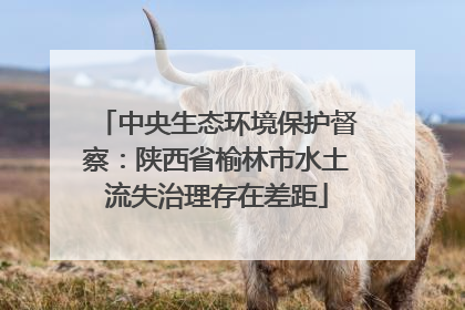 中央生态环境保护督察：陕西省榆林市水土流失治理存在差距
