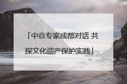 中意专家成都对话 共探文化遗产保护实践