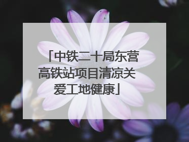 中铁二十局东营高铁站项目清凉关爱工地健康