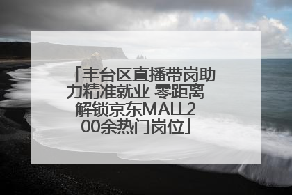 丰台区直播带岗助力精准就业 零距离解锁京东MALL200余热门岗位