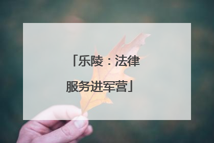 乐陵：法律服务进军营