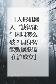 人形机器人“缺智能”困局怎么破？具身智能数据联盟在沪成立