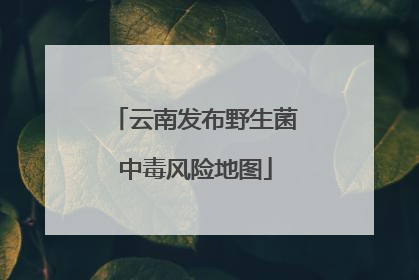 云南发布野生菌中毒风险地图