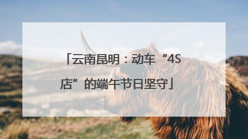 云南昆明：动车“4S店”的端午节日坚守