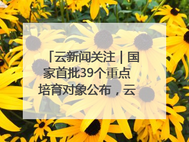云新闻关注｜国家首批39个重点培育对象公布，云南有3个