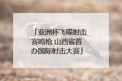 亚洲杯飞碟射击赛鸣枪 山西省首办国际射击大赛