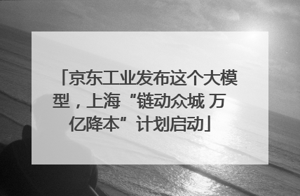 京东工业发布这个大模型，上海“链动众城 万亿降本”计划启动