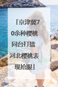 京津冀70余种樱桃同台打擂 河北樱桃表现抢眼