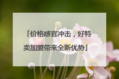 价格感官冲击，好特卖加盟带来全新优势