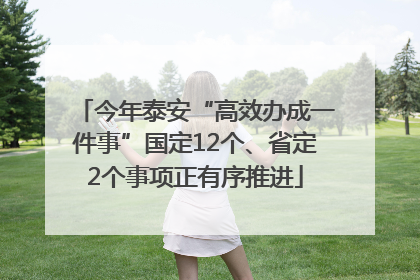 今年泰安“高效办成一件事”国定12个、省定2个事项正有序推进