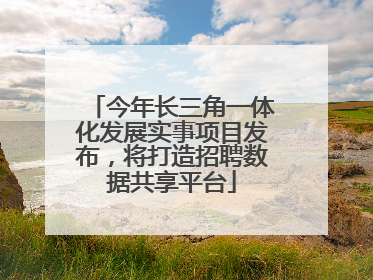 今年长三角一体化发展实事项目发布，将打造招聘数据共享平台