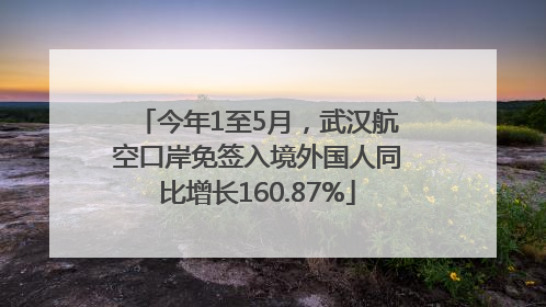 今年1至5月，武汉航空口岸免签入境外国人同比增长160.87%