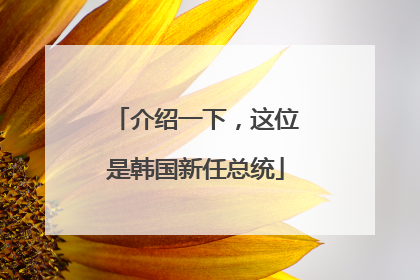 介绍一下，这位是韩国新任总统
