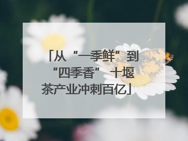 从“一季鲜”到“四季香” 十堰茶产业冲刺百亿