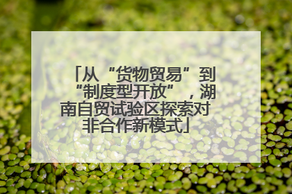 从“货物贸易”到“制度型开放”，湖南自贸试验区探索对非合作新模式