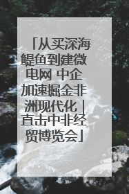 从买深海鳀鱼到建微电网 中企加速掘金非洲现代化｜直击中非经贸博览会
