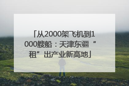 从2000架飞机到1000艘船：天津东疆“租”出产业新高地