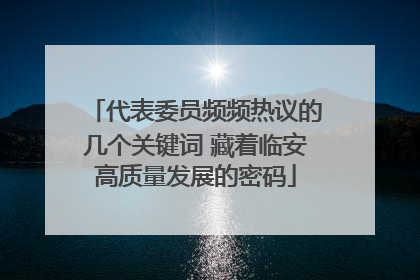 代表委员频频热议的几个关键词 藏着临安高质量发展的密码
