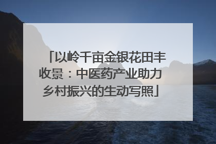 以岭千亩金银花田丰收景：中医药产业助力乡村振兴的生动写照
