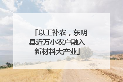 以工补农，东明县近万小农户融入新材料大产业