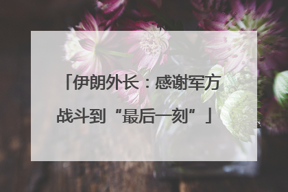 伊朗外长：感谢军方战斗到“最后一刻”