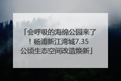 会呼吸的海绵公园来了！杨浦新江湾城7.35公顷生态空间改造焕新