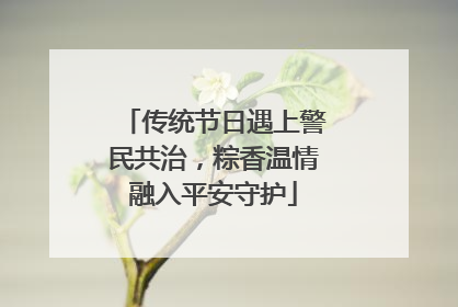 传统节日遇上警民共治，粽香温情融入平安守护
