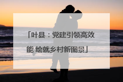 叶县：党建引领高效能 绘就乡村新图景