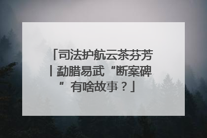 司法护航云茶芬芳丨勐腊易武“断案碑”有啥故事？