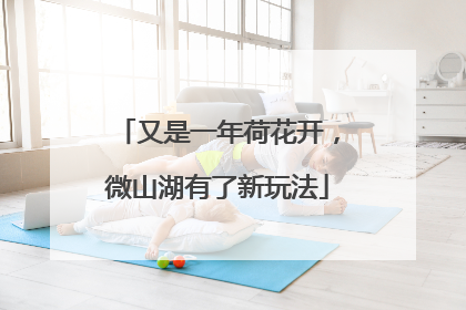 又是一年荷花开，微山湖有了新玩法