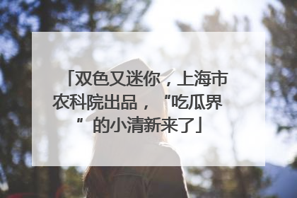 双色又迷你，上海市农科院出品，“吃瓜界”的小清新来了