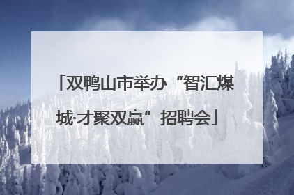 双鸭山市举办“智汇煤城·才聚双赢”招聘会