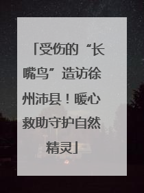 受伤的“长嘴鸟”造访徐州沛县！暖心救助守护自然精灵