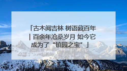 古木阅吉林 树语藏百年｜百余年沧桑岁月 如今它成为了“镇园之宝”