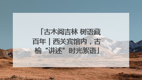 古木阅吉林 树语藏百年｜西关宾馆内，古榆“讲述”时光絮语